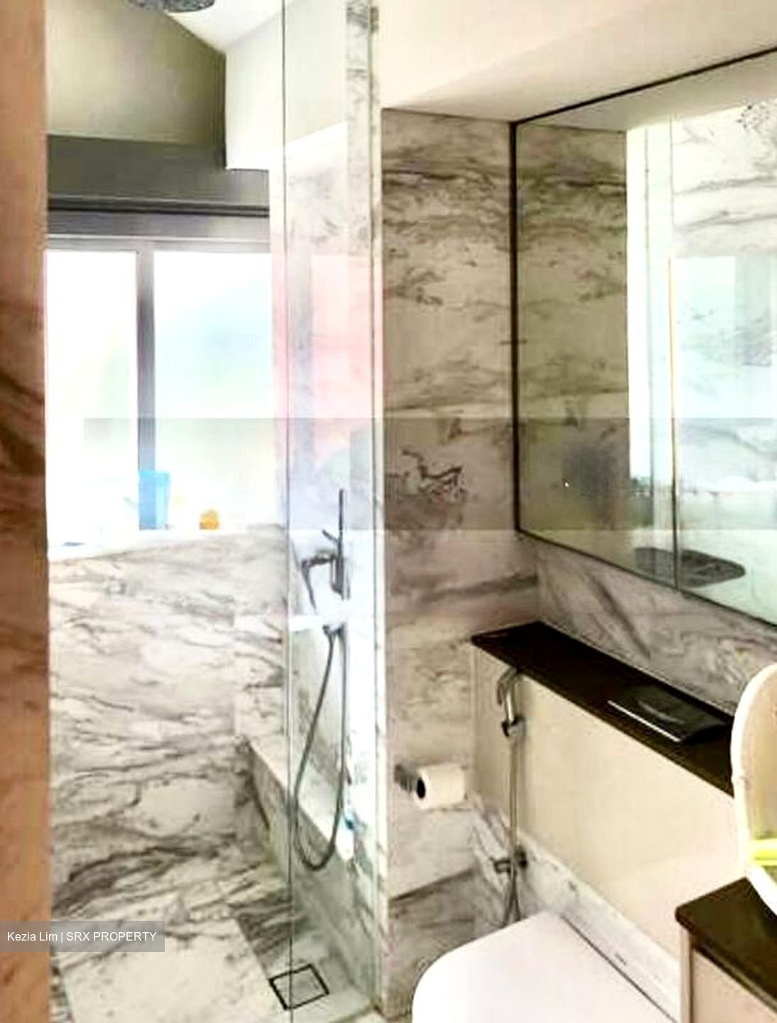 The Holland Collection (D10), Apartment #456585071